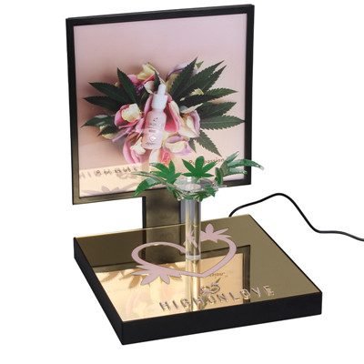 Skincare essential oil perfume display with LED